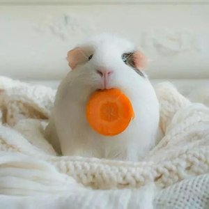 【填词】今生误（记双世宠妃大王爷曲檀儿 演唱 阿念Kies、语凝噎 ）cover 唯爱（Cover 唯爱）