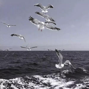 再战江湖风云起