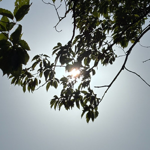 どうでもいい (feat. sUgar)