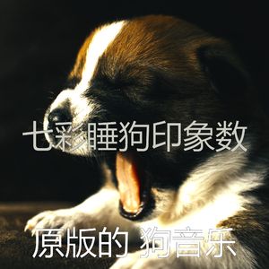 抚慰的小狗回忆