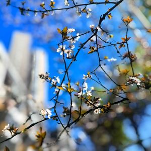 WAV文件_城市脉搏_108654486393196549_1773648301440.wav