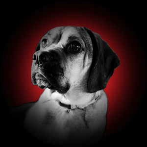 Gordo Niños (Instrumental Version)