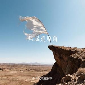 风起荒原角 (Cover 皮卡酱汁)