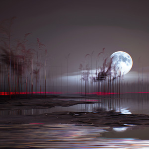 「かぐやひめとよる」｜Kaguya's Farewell Moon