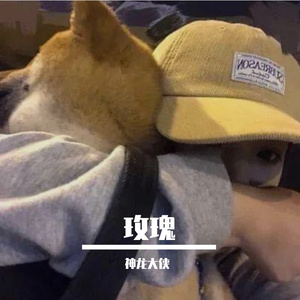 玫瑰