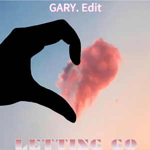 Letting Go (DJ GARY Edit)