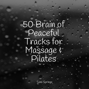 Rainy Sunrise Forest Ambience