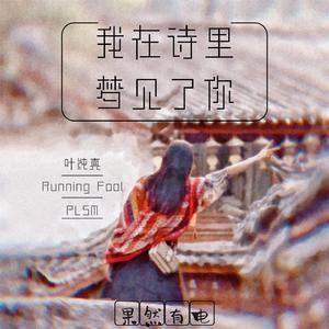 我在诗里梦见了你