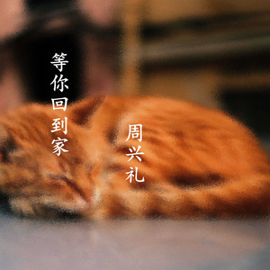 等你回到家