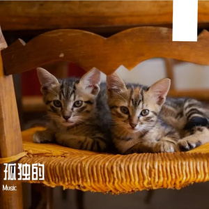 閲戝睘璁℃暟鍣ㄩ煶