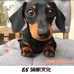 听觉盛宴 (Remix)