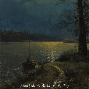 Soul(你太专注未来了) (你太专注未来了)