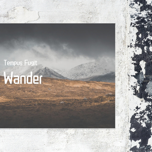 Wander