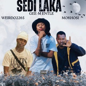 Sedi Laka