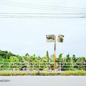 夏天有你的幻梦