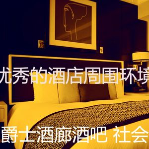 优美酒店大堂器乐