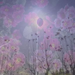 停搏幻想的航船
