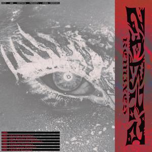 ZEBRA (Säfira Remix)