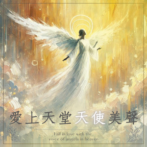 夜空天使在轻吟