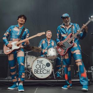 0.5 hOURS oF bLUES mUSIC fOR dOG wALKING (fULL lENGHT aLBUM)