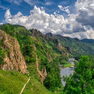 평화로운 여름산의 소리들