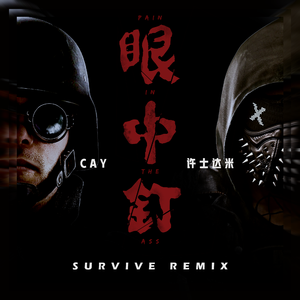 眼中钉(Survive remix)