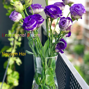 Smile flower