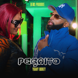 Pegaito