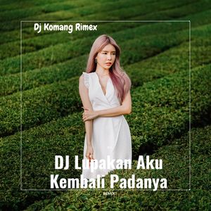 DJ Lupakan Aku Kembali Padanya