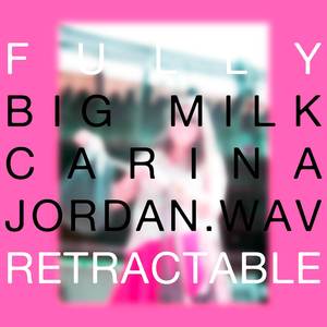 Shake it Off (Cover Version Fully Retractable Dub)