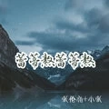 我只是现在没钱 (张伦亮 Mix)