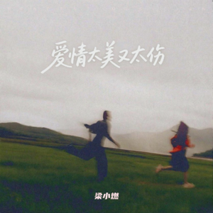 爱情太美又太伤