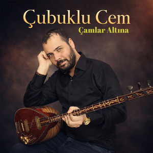 Çamlar Altına