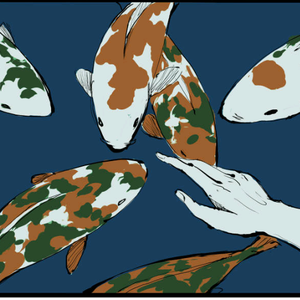 鱼之悲欢（Prod by 船长）