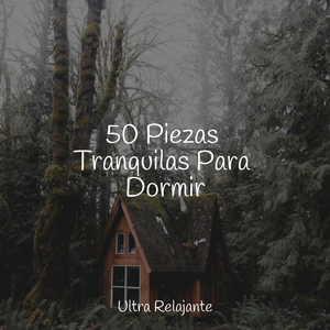 Meditación Sin Consolidar