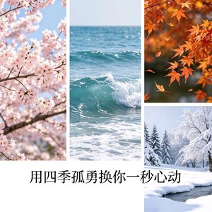 用四季孤勇换你一秒心动
