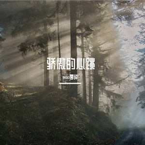 骄傲的心跳
