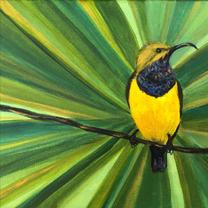 Sunbird