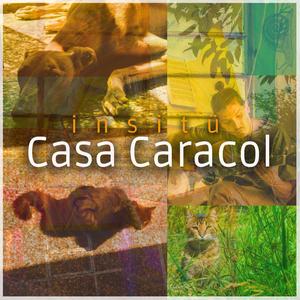 Casa Caracol