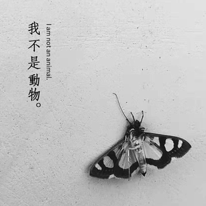 我不是动物（I am not an animal）