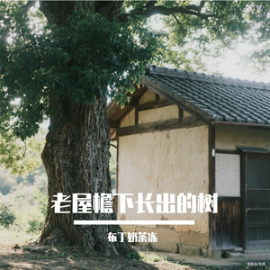 老屋檐下长出的树