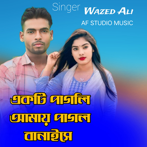 একটি পাগলি আমায় পাগল বানাইসে