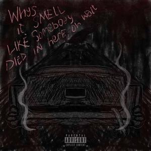 why's it smell like somebody died in here, oh wait (feat. Darby O'trill)