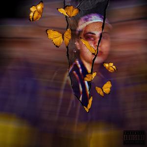 Mirror Conversations