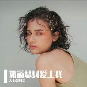 梦想成真-Dream it possible中文