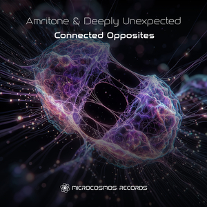 Connected Opposites