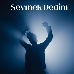 Sevmek Dedim