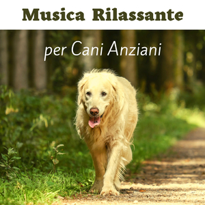 Riposando sul divano