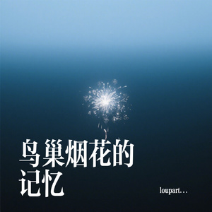 鸟巢烟花的记忆