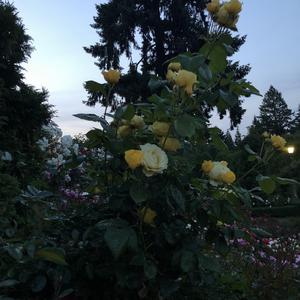 everything is quiet now